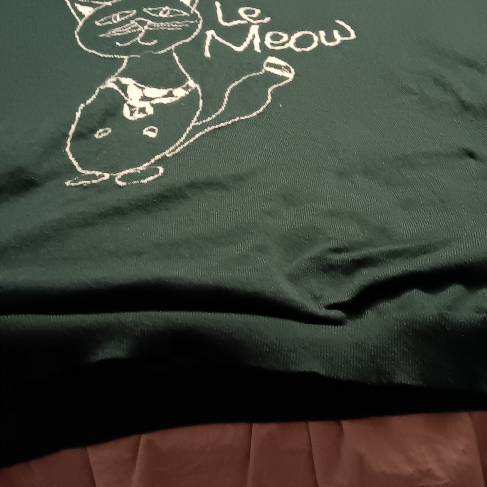 Sweater,  dark green with cat. Tunic length with pockets. Great for Teens!